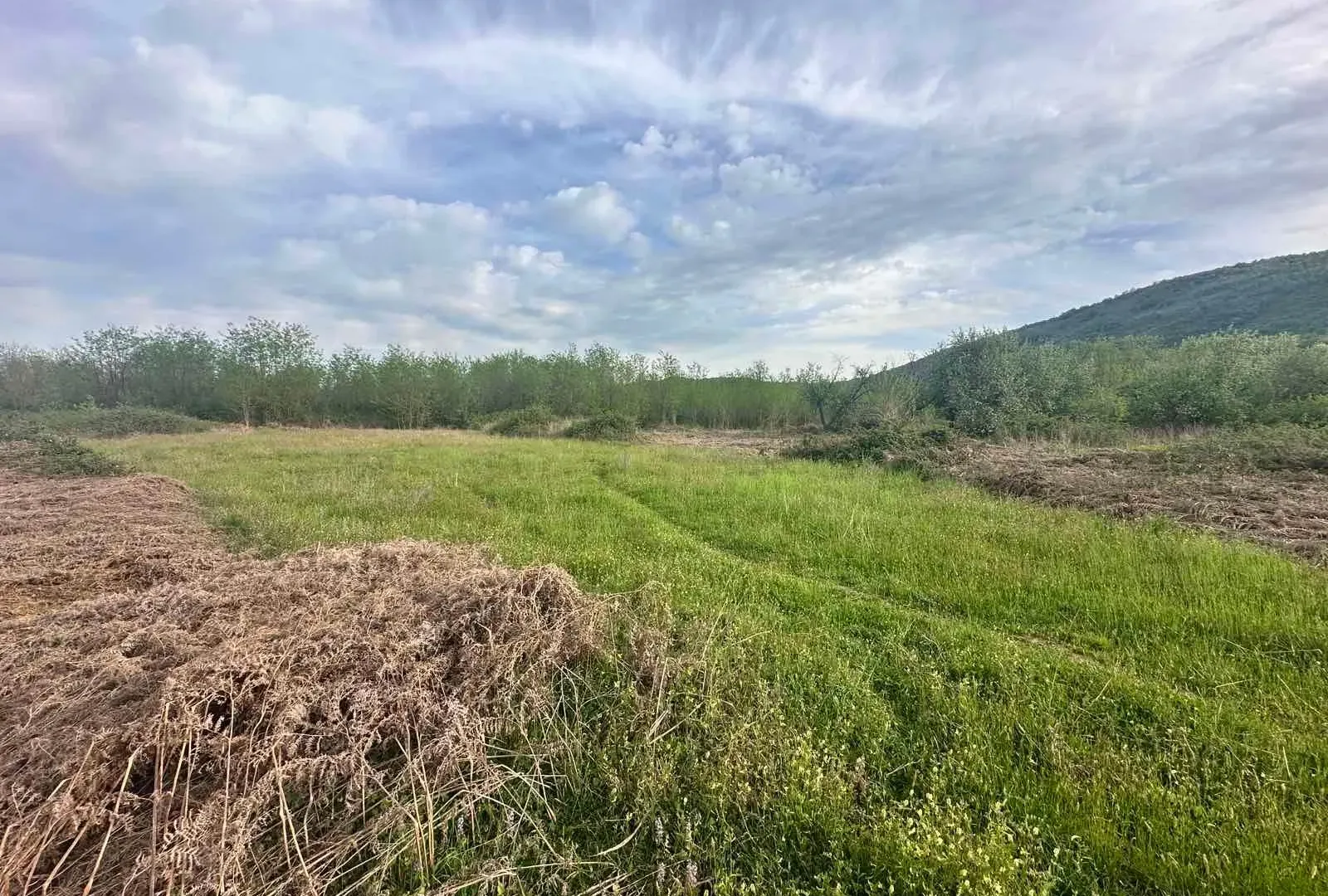 Prodaja, plac, 10860m², Orja Luka, Danilovgrad