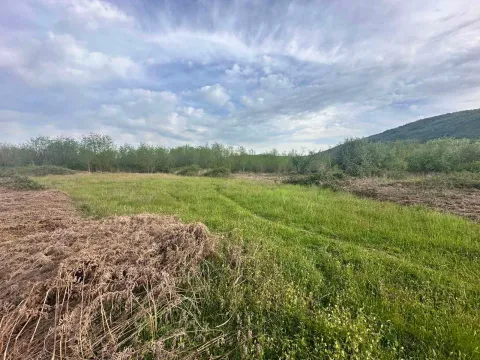 Prodaja, plac, 10860m², Orja Luka, Danilovgrad - image 4