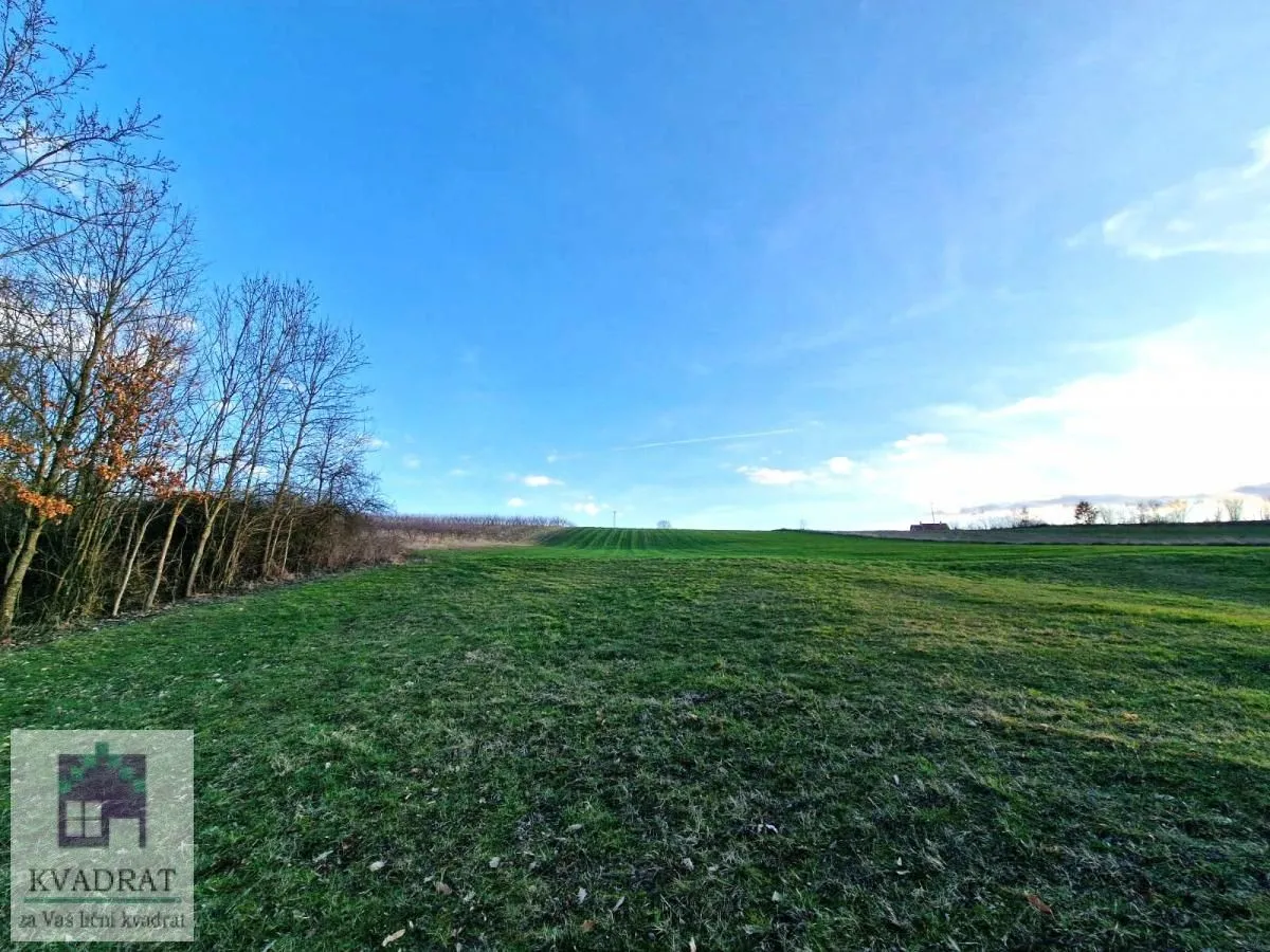 Prodaja, plac, 38000m², Kožuar, Ub