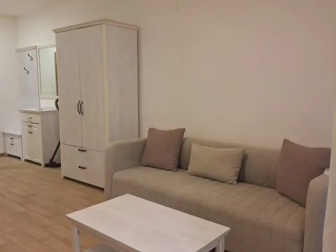 Prodaja, garsonjera, 31m², Dubovica, Budva - image 4