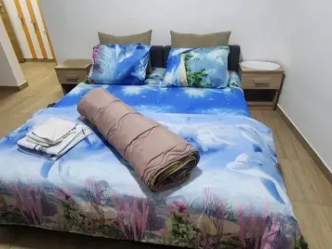 Izdavanje, jednosoban stan, 23m², Petrovaradin, Novi Sad - image 3