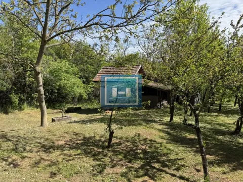 Prodaja, kuća, 160m², Ravna Reka, Despotovac - image 31