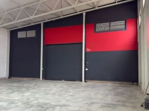 Izdavanje, poslovni prostor, 1500m², Zemun Sve Podlokacije, Beograd - image 16