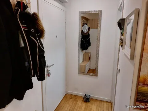 Izdavanje, dvosoban stan, 51m², Zemun Sve Podlokacije, Beograd - image 6