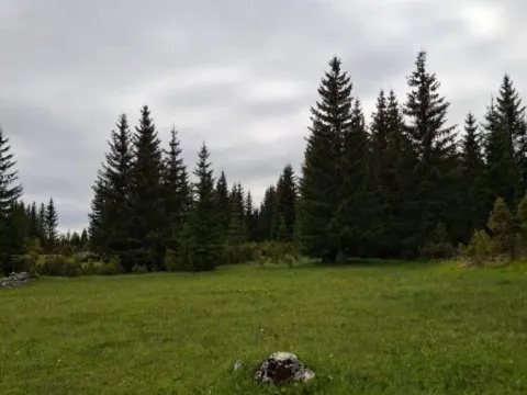 Prodaja, plac, 7800m², Žabljak, Crna Gora - image 2