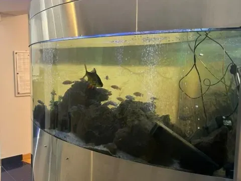 Rent, office space, 70m², Rotkvarija, Novi Sad Sve Podlokacije - image 2