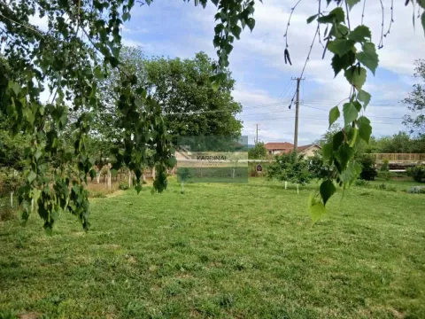 Prodaja, plac, 1500m², Trnava, Jagodina - image 19