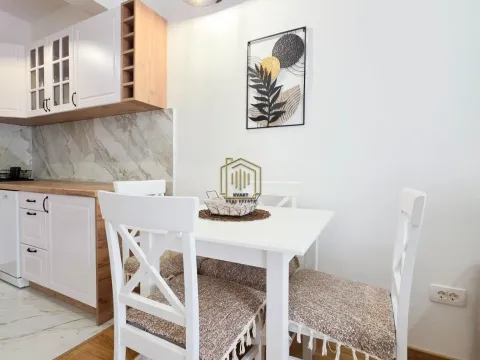Izdavanje, jednosoban stan, 42m², Zagorič, Podgorica - image 4
