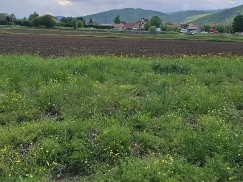 Prodaja, plac, 5037m², Rastovac, Nikšić - image 5