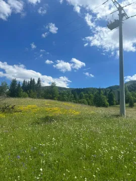 Prodaja, plac, 62000m², Bare Kraljske, Kolašin - image 4