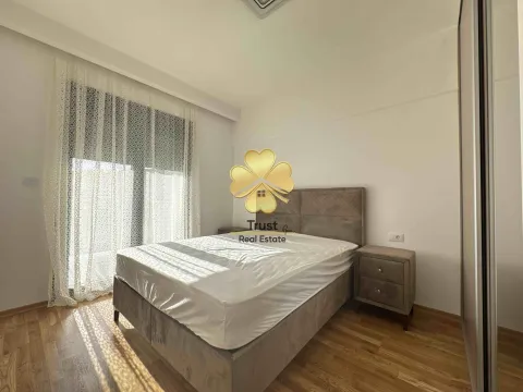 Izdavanje, jednosoban stan, 50m², Zagorič, Podgorica - image 11