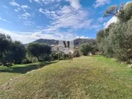Sale, land lot, 1553m², Trebesinj, Herceg Novi - image 4