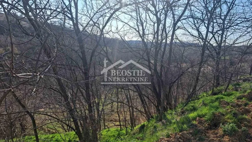 Prodaja, plac, 4058m², Brestovik, Grocka