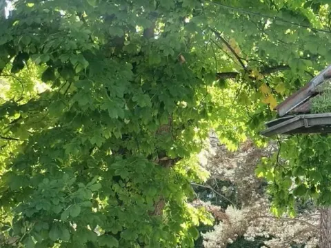 Sale, one bedroom apartment, 39m², Resavica (varošica), Despotovac - image 4