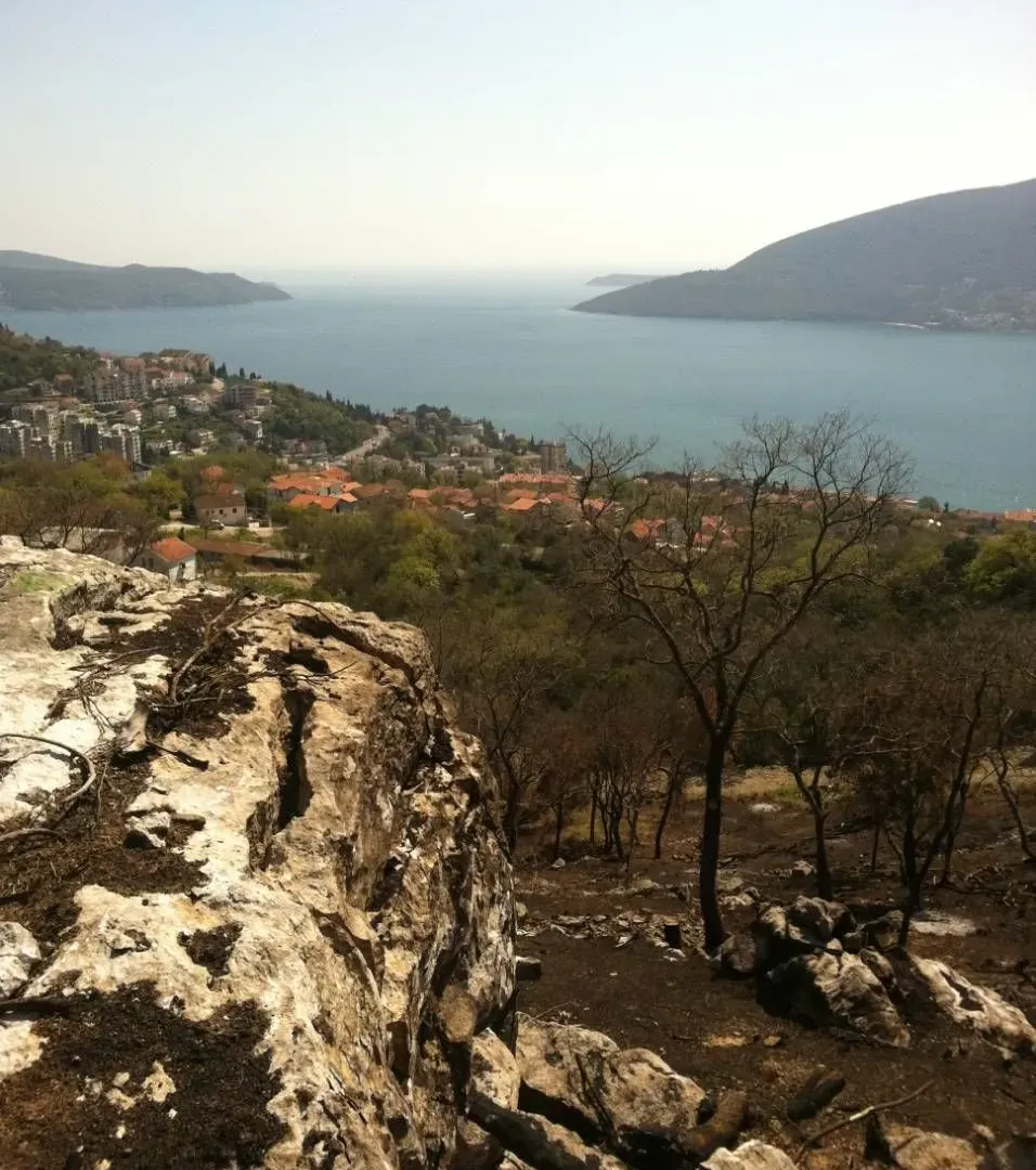 Prodaja, plac, 26826m², Herceg Novi, Crna Gora