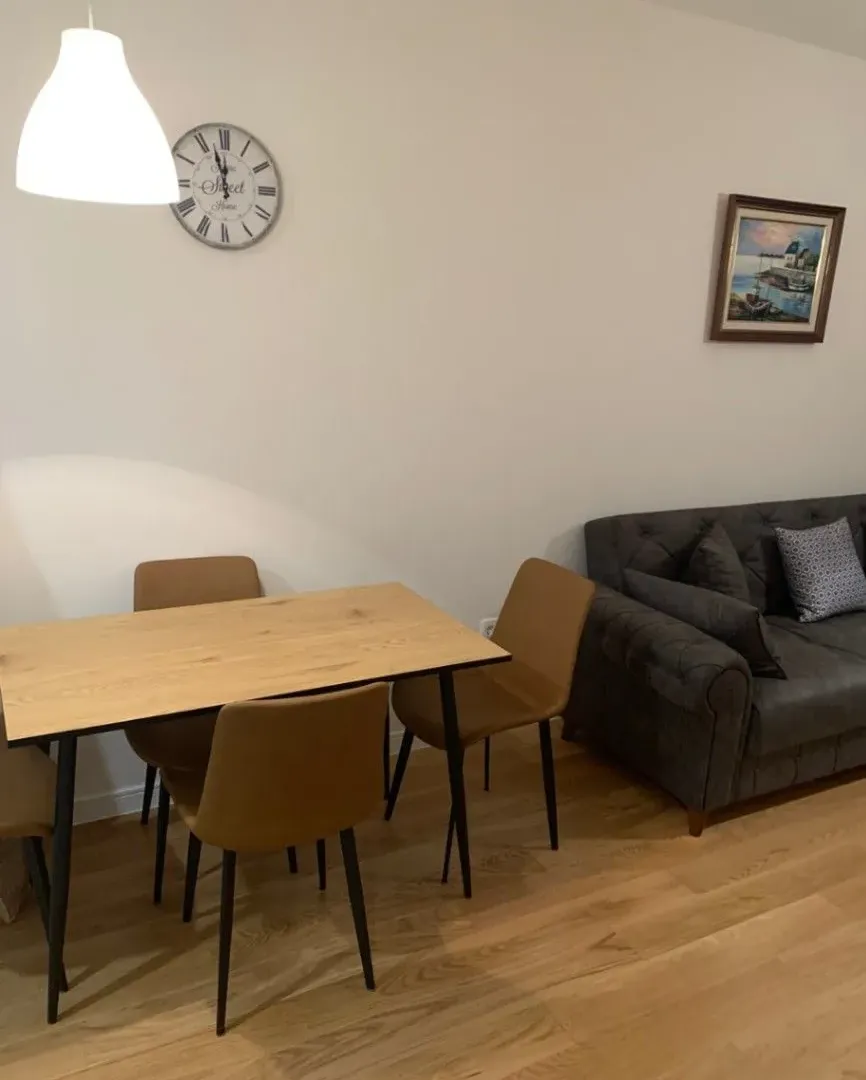 Izdavanje, jednosoban stan, 49m², Central Point, Podgorica