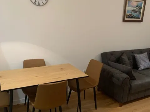 Rent, one bedroom apartment, 49m², Central Point, Podgorica - image 7