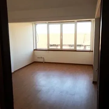 Izdavanje, poslovni prostor, 700m², Altina, Beograd - image 10