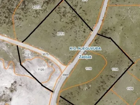 Prodaja, plac, 20000m², Žabljak, Crna Gora - image 2