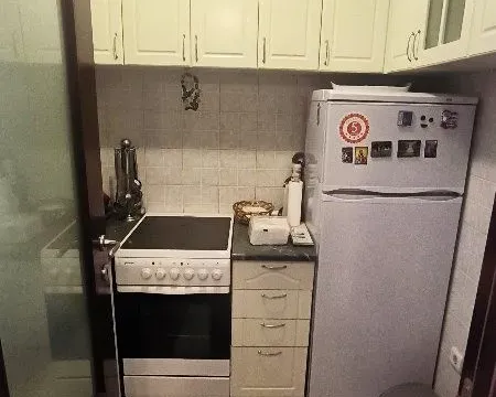 Rent, two bedroom apartment, 53m², Lion, Zvezdara Sve Podlokacije - image 6