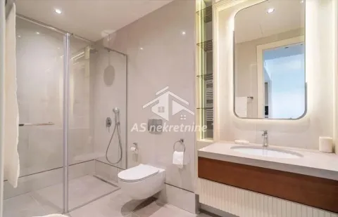 Izdavanje, dvosoban stan, 70m², Savski Venac, Beograd - image 20