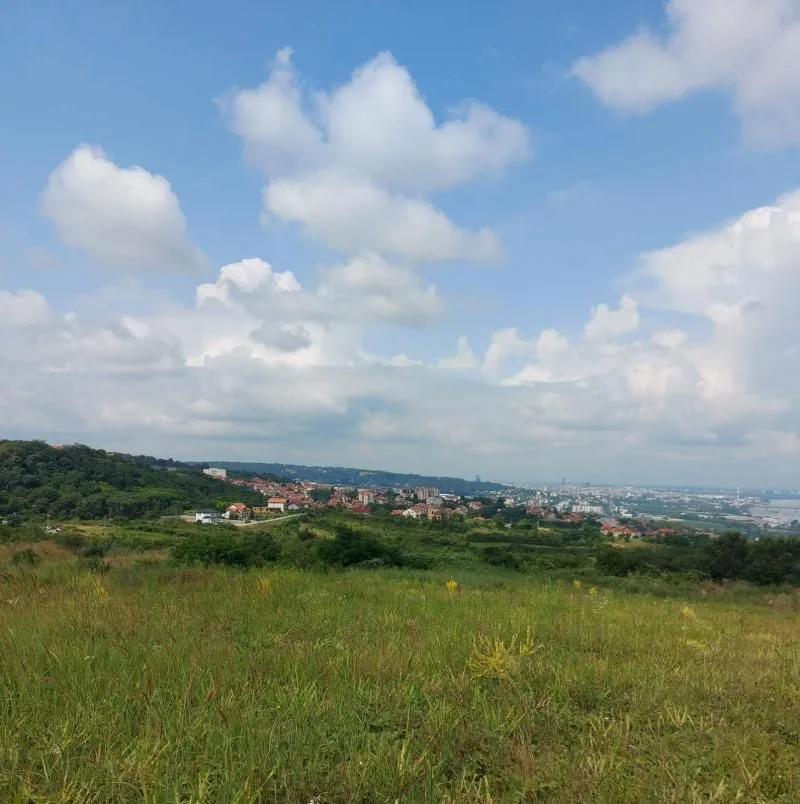 Prodaja, plac, 10000m², Višnjica, Palilula Sve Podlokacije