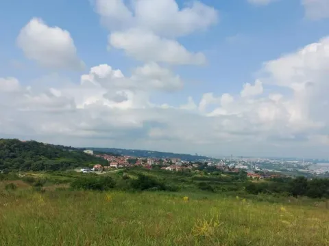 Prodaja, plac, 10000m², Višnjica, Palilula Sve Podlokacije - image 4