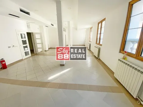 Izdavanje, kuća, 1400m², Savski Venac, Beograd - image 10