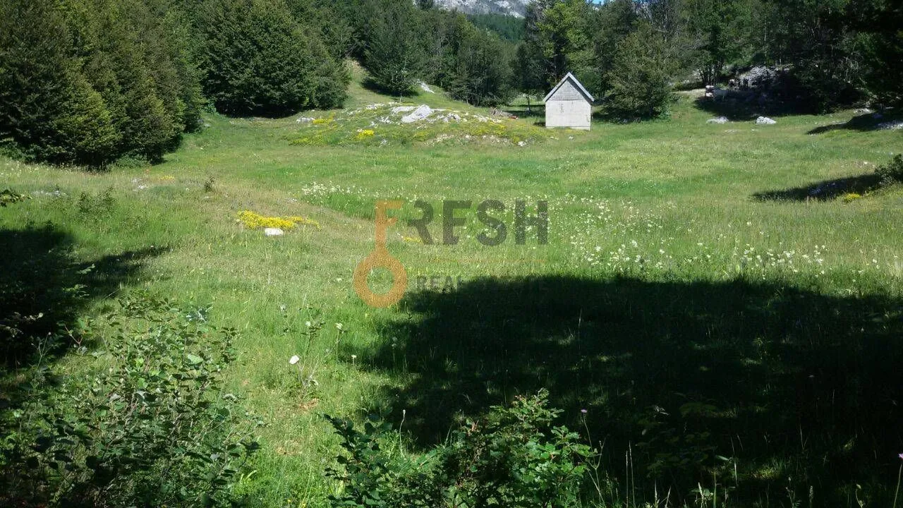 Prodaja, plac, 100000m², Cetinje, Crna Gora