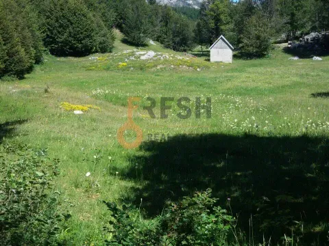 Prodaja, plac, 100000m², Cetinje, Crna Gora - image 2