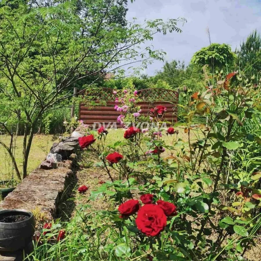 Prodaja, kuća, 53m², Čortanovci, Inđija