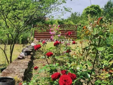 Prodaja, kuća, 53m², Čortanovci, Inđija - image 3