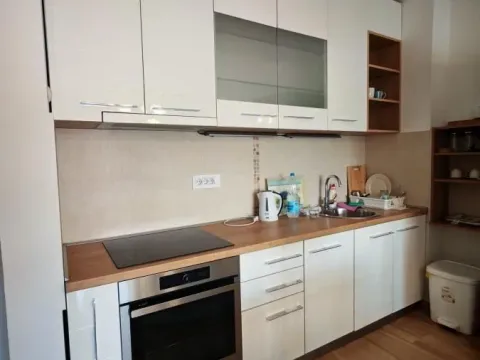 Rent, one bedroom apartment, 48m², Lekino Brdo, Voždovac Sve Podlokacije - image 7