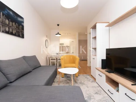 Izdavanje, jednosoban stan, 42m², Central Point, Podgorica - image 13