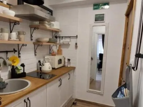 Izdavanje, jednosoban stan, 21m², Stari Grad, Beograd - image 9