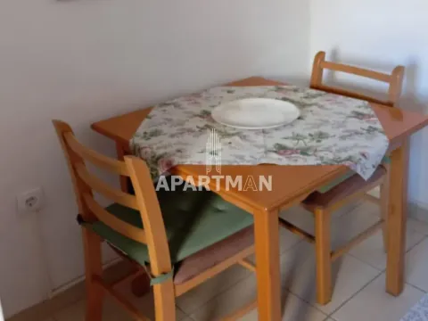 Sale, one bedroom apartment, 29m², Vračar Hram, Vračar Sve Podlokacije - image 5