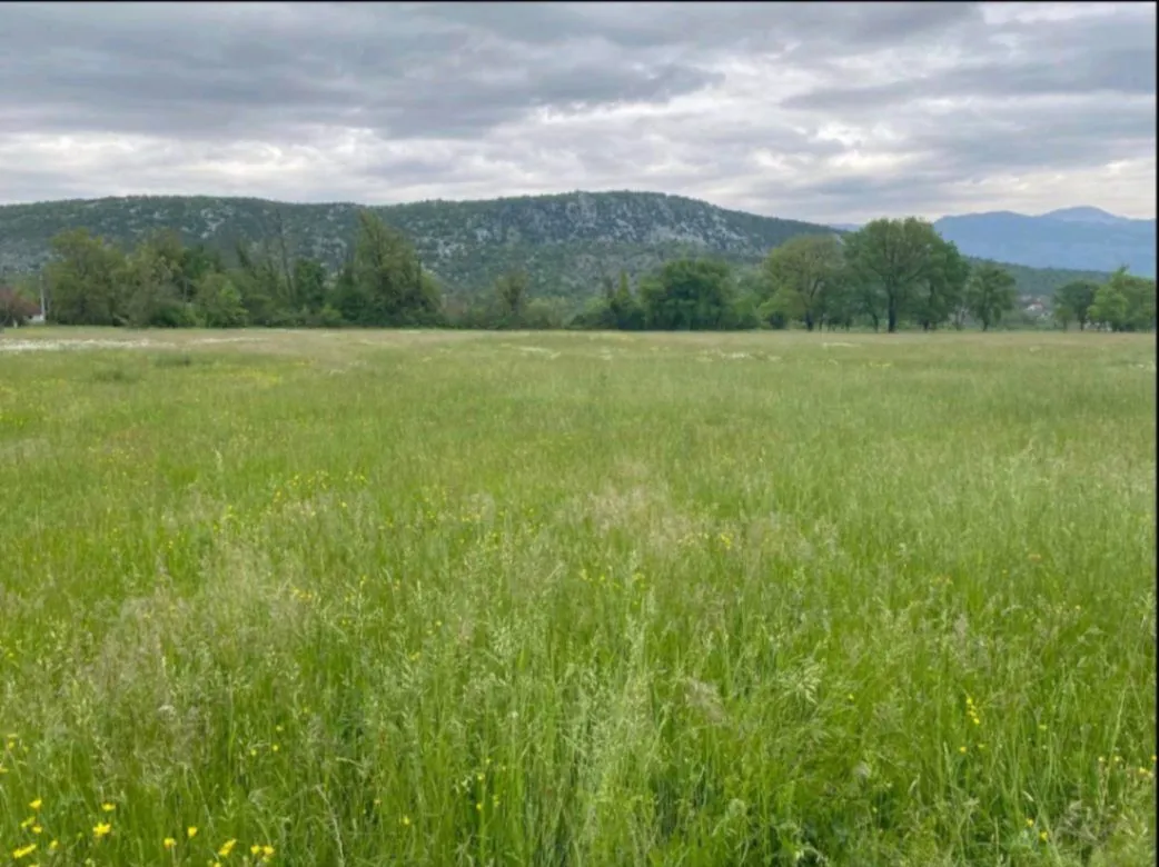 Prodaja, plac, 3000m², Danilovgrad, Crna Gora