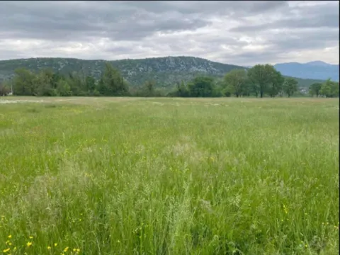 Prodaja, plac, 3000m², Danilovgrad, Crna Gora - image 2