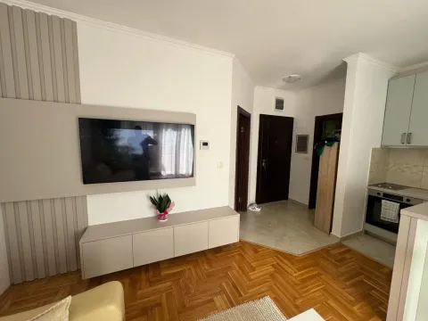 Izdavanje, jednosoban stan, 44m², Budva, Crna Gora - image 6