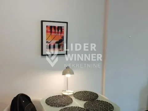 Izdavanje, jednosoban stan, 40m², Čubura, Beograd - image 3