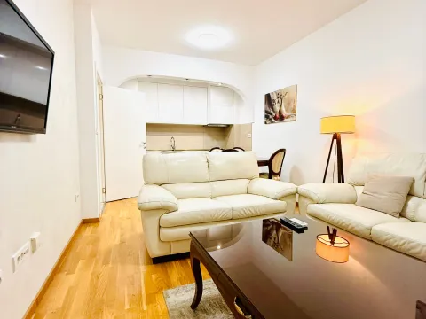 Rent, one bedroom apartment, 45m², Zabjelo, Podgorica - image 2