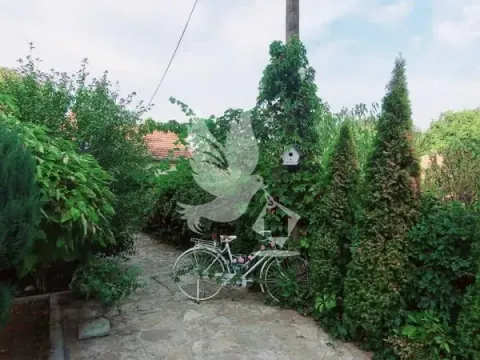 Sale, house, 295m², Selters Banja, Mladenovac - image 9