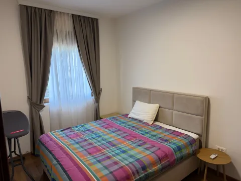 Izdavanje, jednosoban stan, 43m², Vezirov Most, Podgorica - image 9