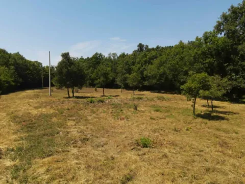 Sale, land lot, 30000m², Kunje, Bar - image 4