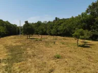 Sale, land lot, 30000m², Kunje, Bar - image 4