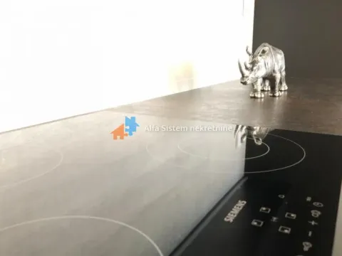 Izdavanje, trosoban stan, 92m², Vračar Hram, Vračar Sve Podlokacije - image 4