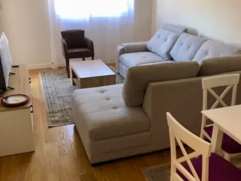 Izdavanje, jednosoban stan, 47m², Central Point, Podgorica - image 2