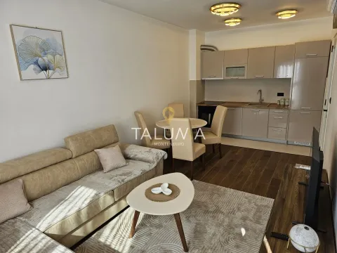 Izdavanje, jednosoban stan, 47m², Centar, Podgorica