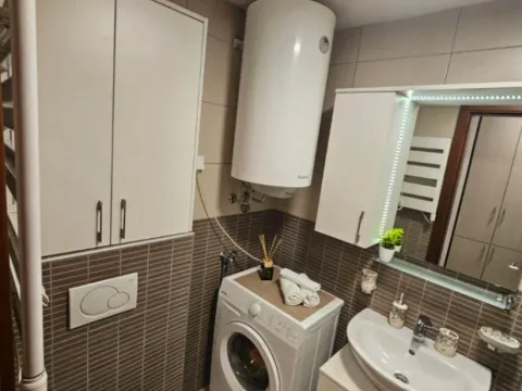 Rent, one bedroom apartment, 43m², Tološka šuma, Podgorica - image 10