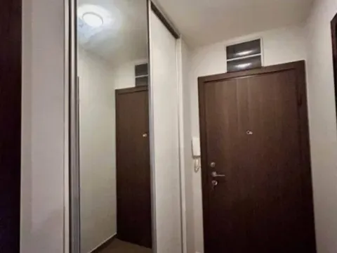 Izdavanje, jednosoban stan, 42m², Blok 9, Podgorica - image 6